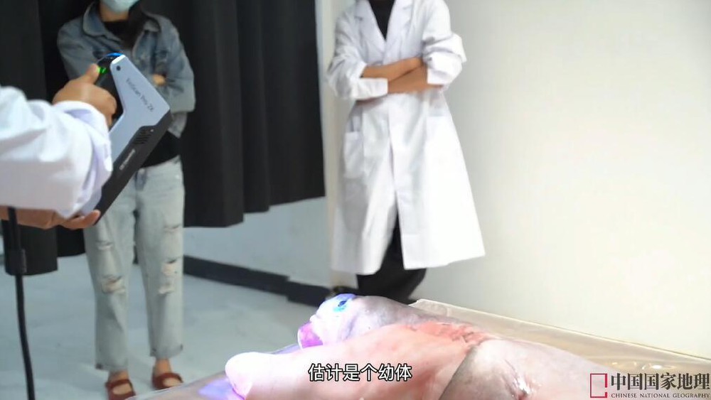 巨口鯊數據采集